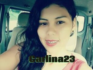 Carlina23