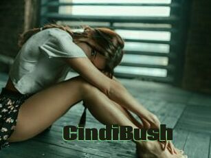 CindiBush