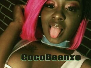 CocoBeanxo