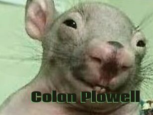 Colon_Plowell