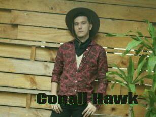 Conall_Hawk