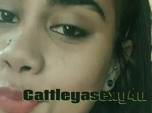 Cattleyasexy4u