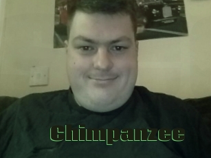 Chimpanzee
