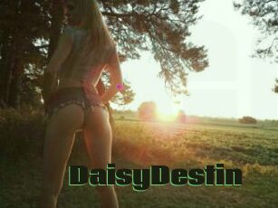 DaisyDestin