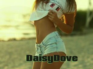 DaisyDove