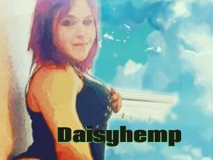 Daisy_hemp