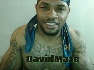 David_Maze