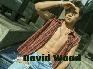 David_Wood