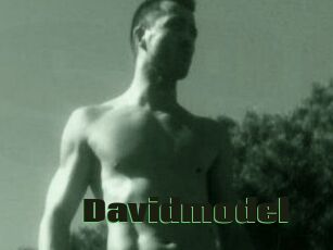 Davidmodel