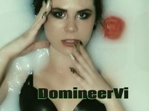 DomineerVi