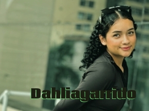 Dahliagarrido