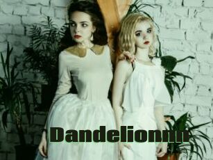 Dandelionnn