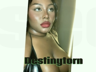 Destinytorn