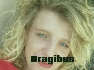 Dragibus