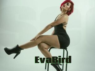 EvaBird