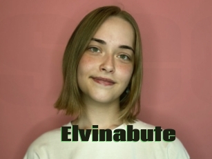 Elvinabute