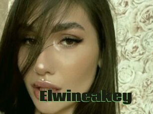 Elwineakey