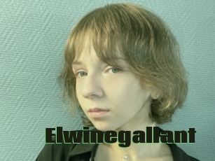 Elwinegallant