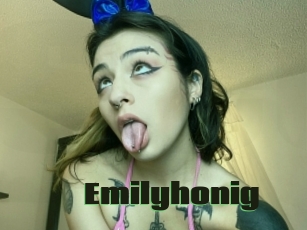 Emilyhonig