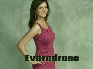 Evaredrose