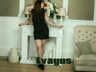 Evayus