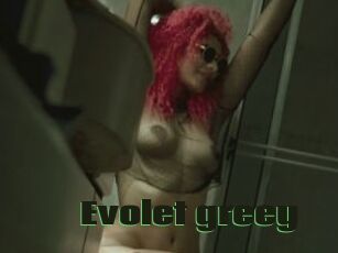 Evolet_greey