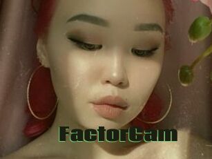 FactorCam