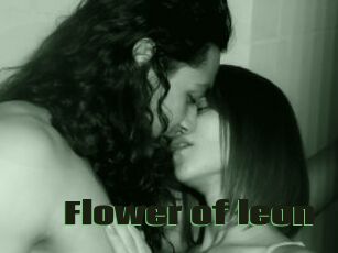 Flower_of_leon