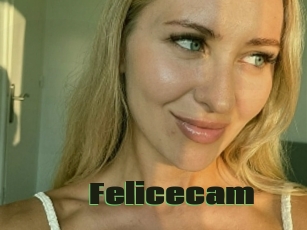 Felicecam