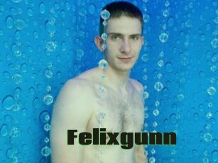 Felixgunn