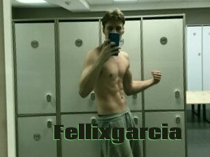 Fellixgarcia