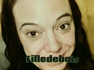 Filledebois