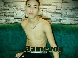 Flamevoy