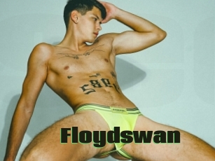 Floydswan