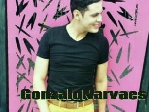 GonzaloNarvaes