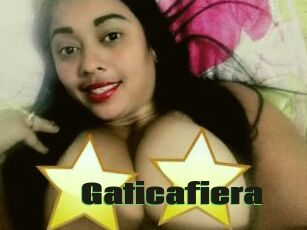 Gaticafiera