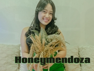 Honeymendoza