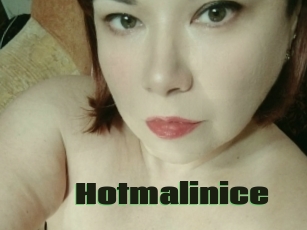 Hotmalinice