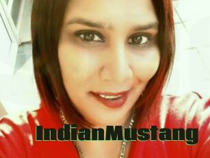 IndianMustang