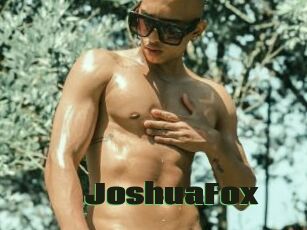 JoshuaFox