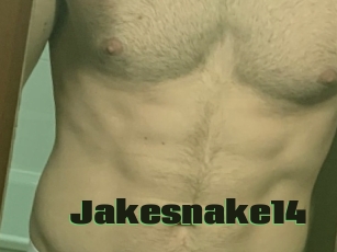 Jakesnake14