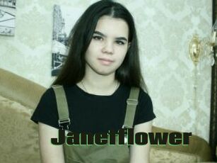 Janetflower