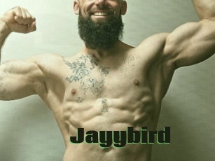 Jayybird