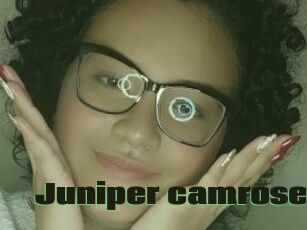 Juniper_camrose