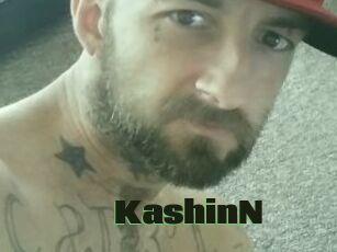 KashinN