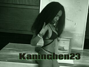 Kaninchen23