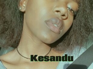 Kesandu