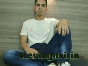 Kevingaviria