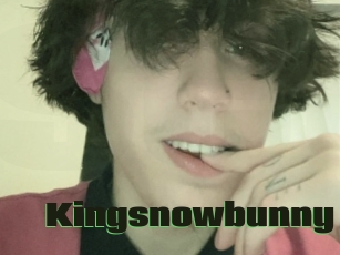 Kingsnowbunny