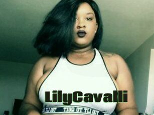 Lily_Cavalli